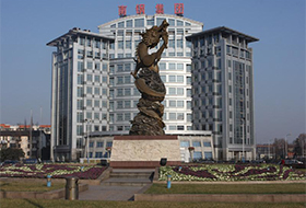 南京鋼鐵集團有限公司